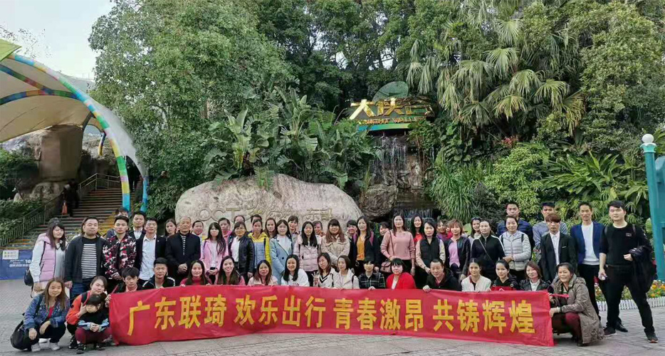 廣東聯(lián)琦電子有限公司